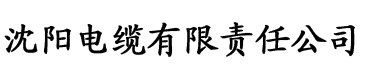 一个朋友的妈妈2电缆厂logo